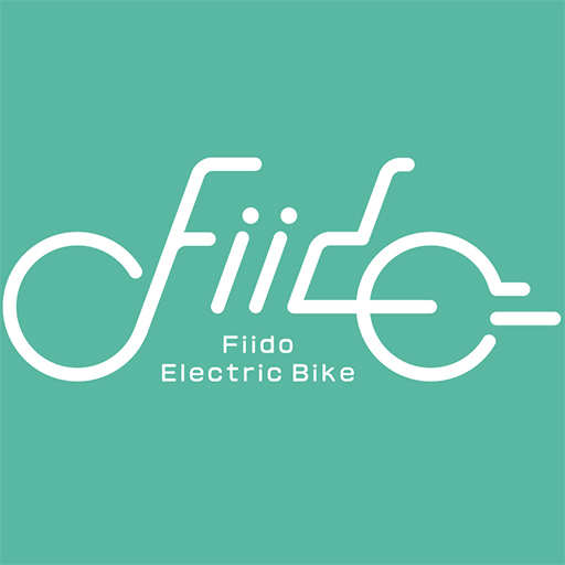 Fiido Electric Bike
